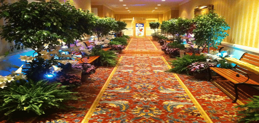 Foreman Productions plants