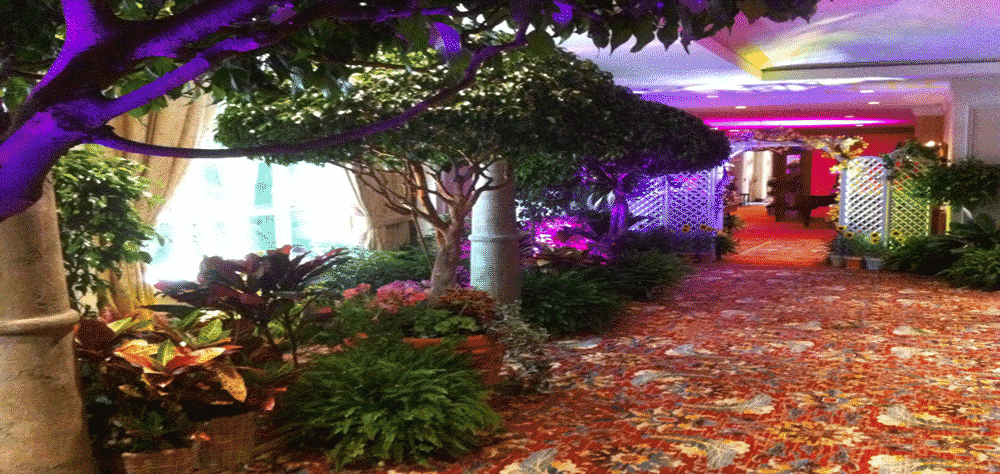 Foreman Productions plants