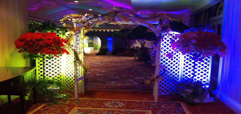 Foreman Productions plants